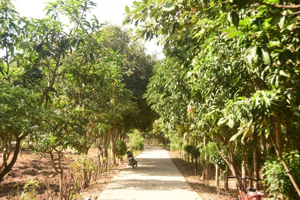 Sagar Ashram — photo 5