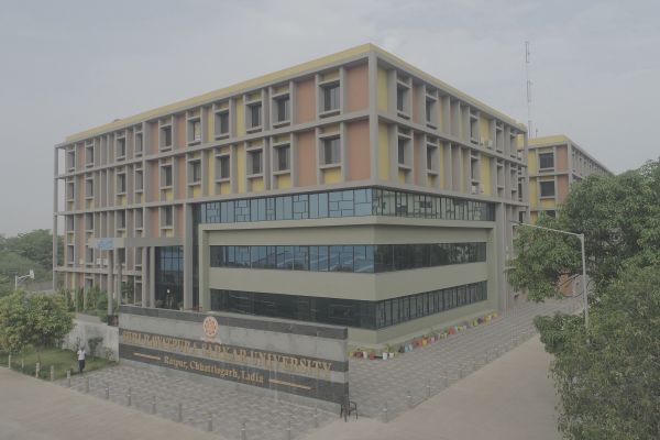 Shri Rawatpura Sarkar University, Raipur — photo 5